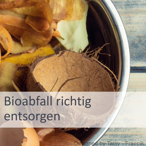 Bioabfall richtig entsorgen