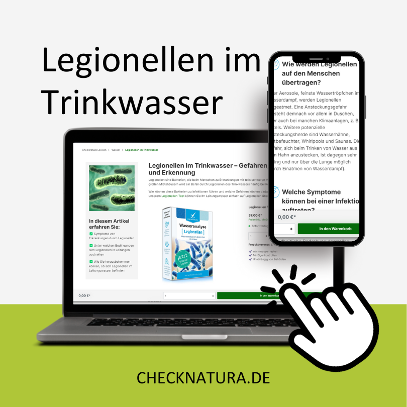 Zur Info-Seite Legionellen im Trinkwasser