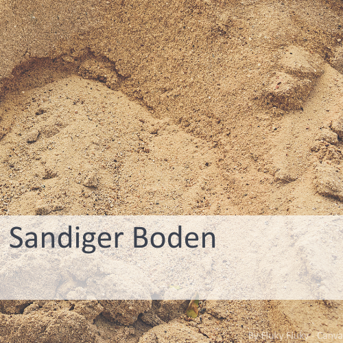 Nahaufnahme von sandigem Boden mit unregelmäßiger Oberfläche und kleinen Steinen.