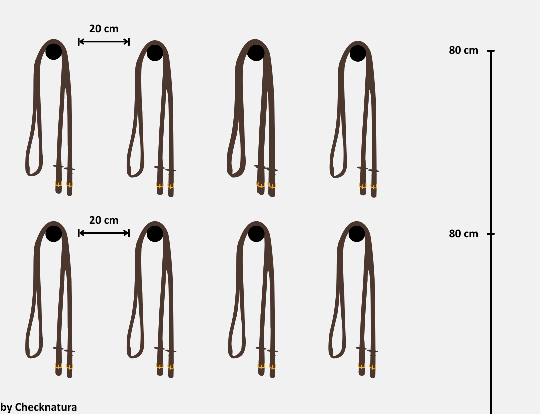 Grafik zu den Abständen von Trensen zwischen einander in einer Sattelkammer.