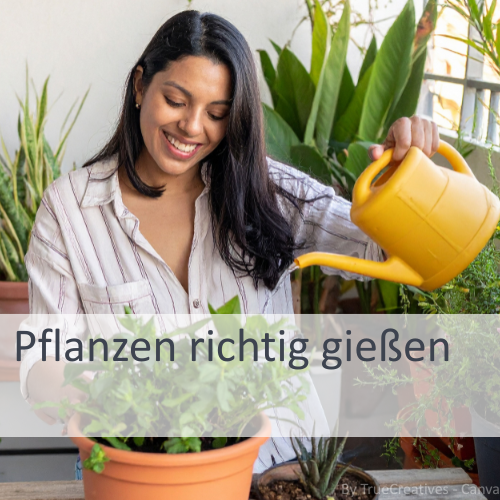 Pflanzen richtig gießen