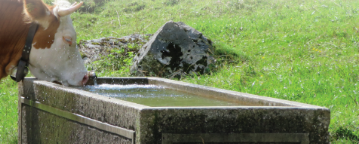 Tests für Tränkwasser (Tiere)