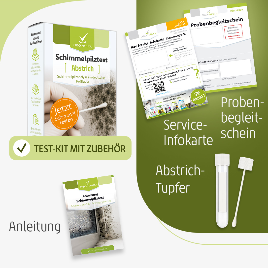 Schimmeltest-Kombi-Abstrich
