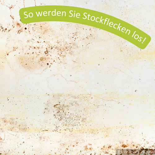 stockflecken auf weier wand Kleine Stockflecken an einer weißen Wand.