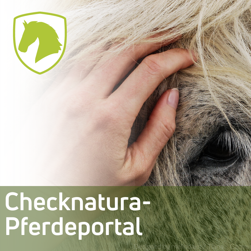 Checknatura-Pferdeportal. Für eine gesunde Umgebung für Ihr Pferd. Umweltanalysen und Expertentipps zur Ausstattung Ihrer Stallumgebung.