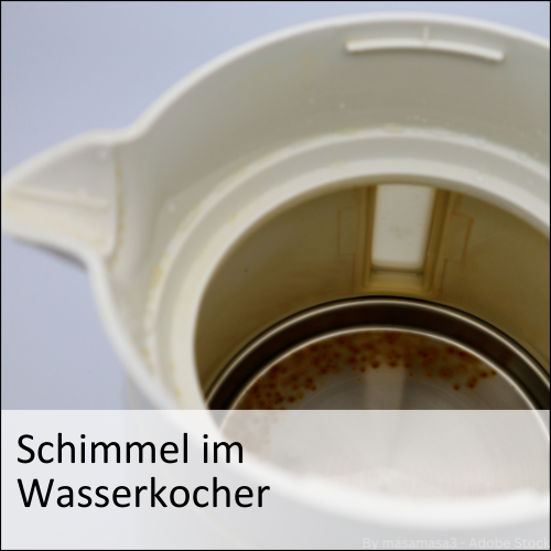 Schimmel im Wasserkocher