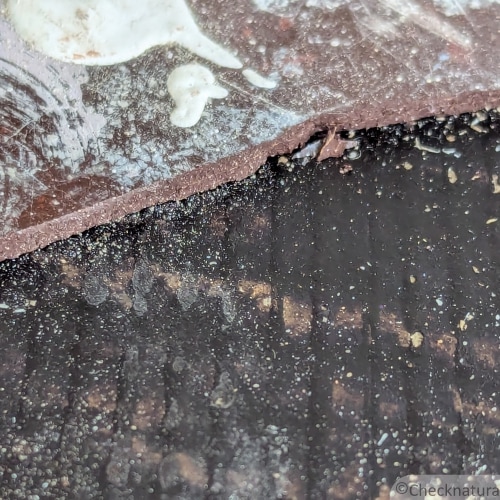 Schwarzer asbesthaltiger Bitumenkleber unter einem Bodenbelag.