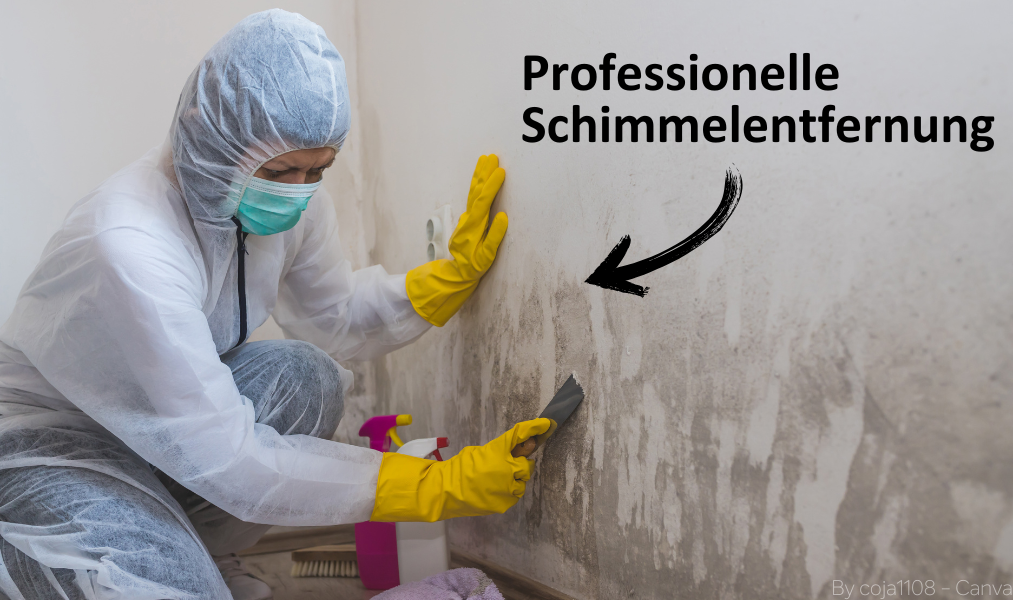 arbeiterin entfernt schimmel von wand Arbeiterin im Schutzanzug entfernt Schimmel von einer Wand.