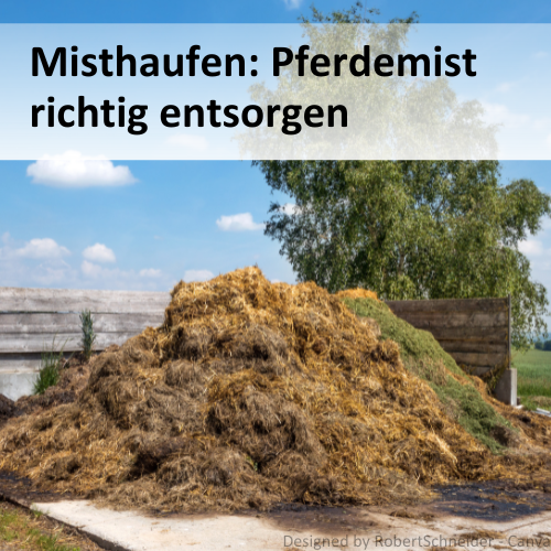  Misthaufen Pferdemist richtig entsorgen