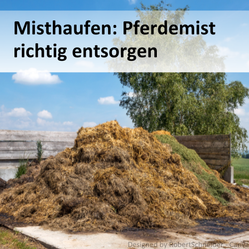 Misthaufen Pferdemist richtig entsorgen Misthaufen Pferdemist richtig entsorgen