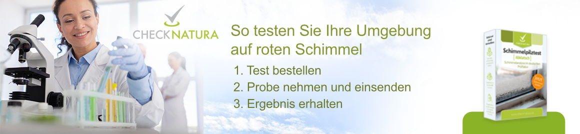 Banner Schimmelpilz Umgebung auf roten Schimmel testen