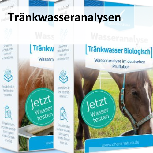 Tränkwasseranalysen für Pferde