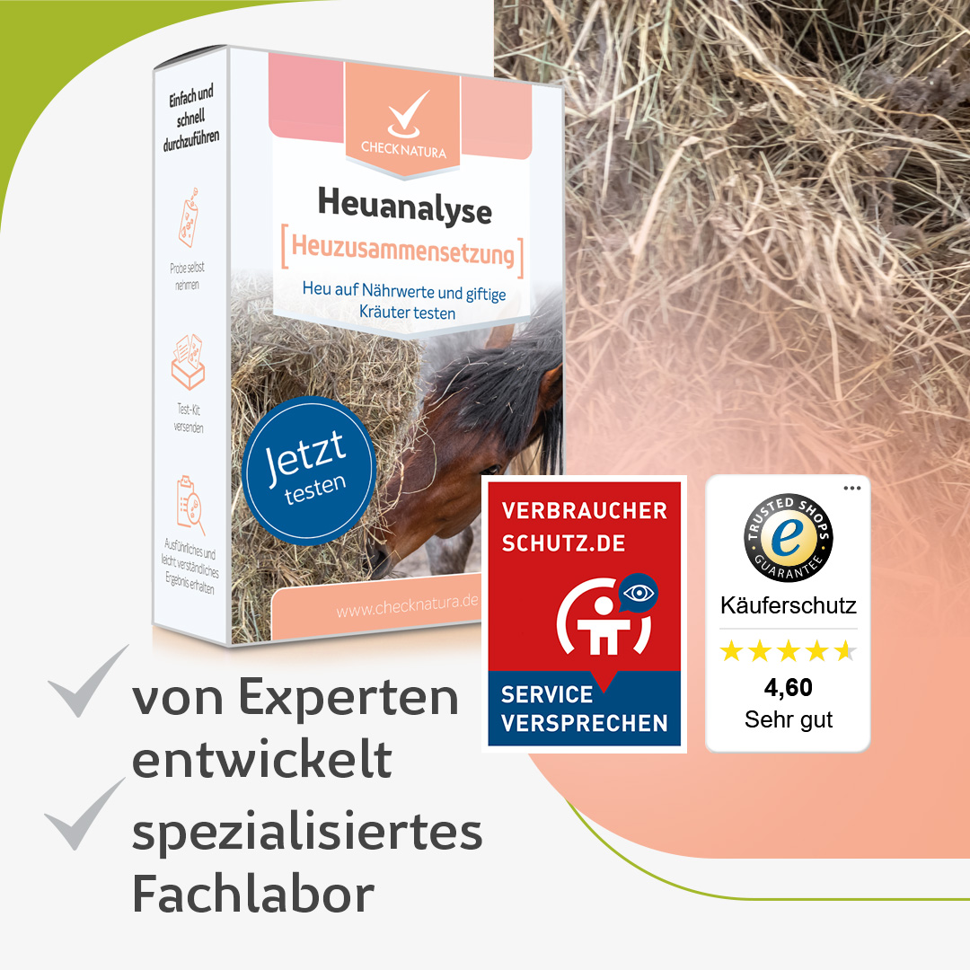 Heuanalyse-Testkit zur Heuzusammensetzung mit Produktverpackung, Heu-Motiv sowie Verbraucher- und Käuferschutzsiegeln.