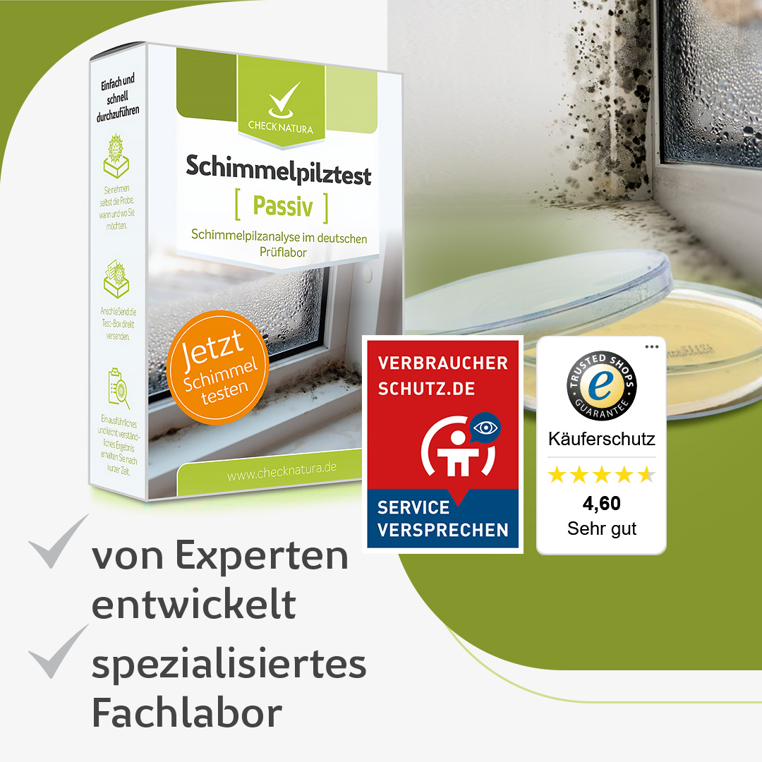 Schimmeltest Raumluft von Experten entwickelt