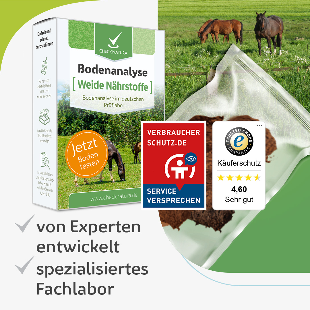 Bodenanalyse-Testkit für Weide-Nährstoffe mit Verpackung, Probenbeutel, Pferdekoppel im Hintergrund sowie Qualitäts- und Bewertungssiegeln.