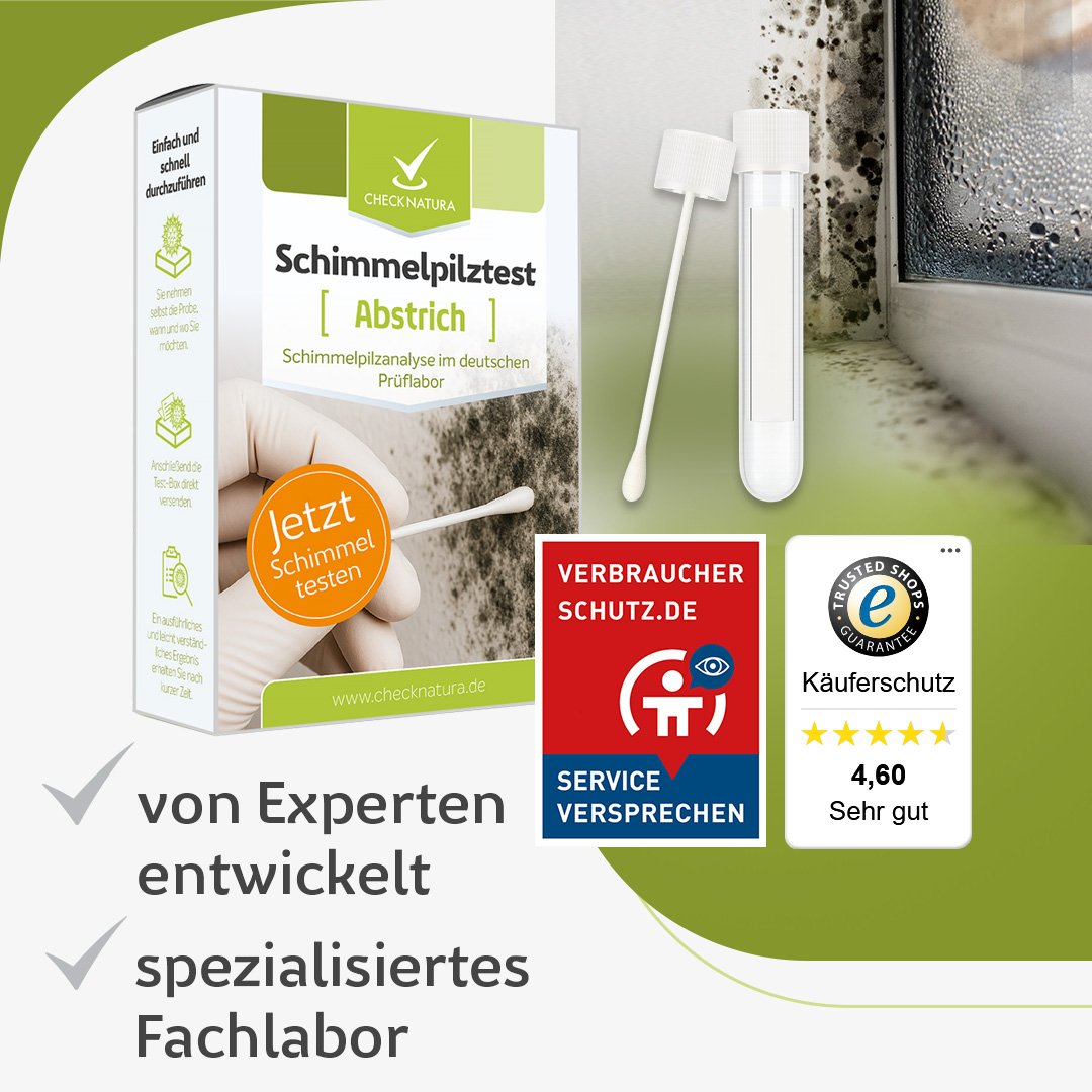 Schimmeltest-Kombi-Abstrich
