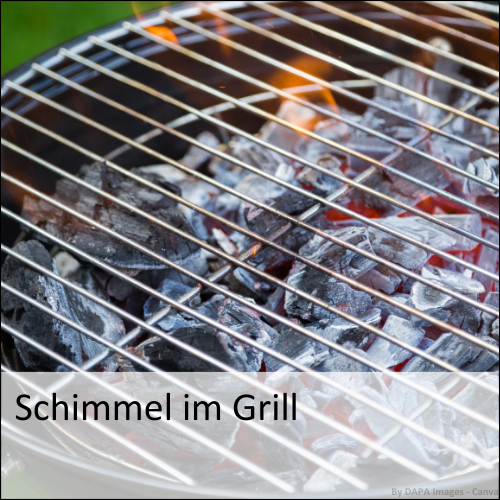 Schimmel im Grill