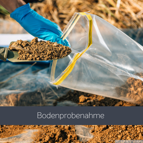 Hand mit blauen Handschuhen entnimmt mit einer kleinen Schaufel eine Bodenprobe und füllt sie in einen transparenten Plastikbeutel – professionelle Bodenprobenahme für Analyse und Untersuchung im Umweltbereich.