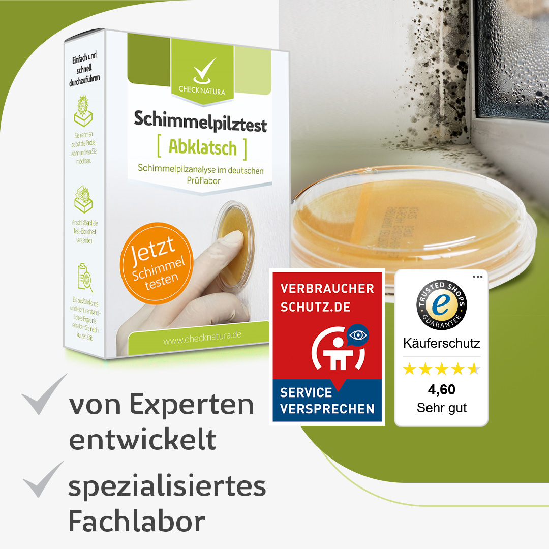 Schimmeltest Abklatsch von Experten