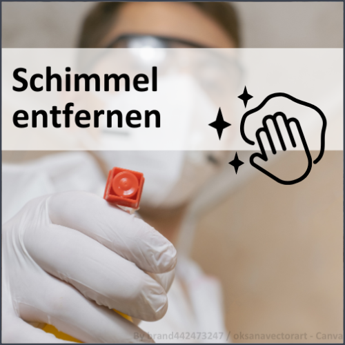 Kategorie: Schimmel entfernen