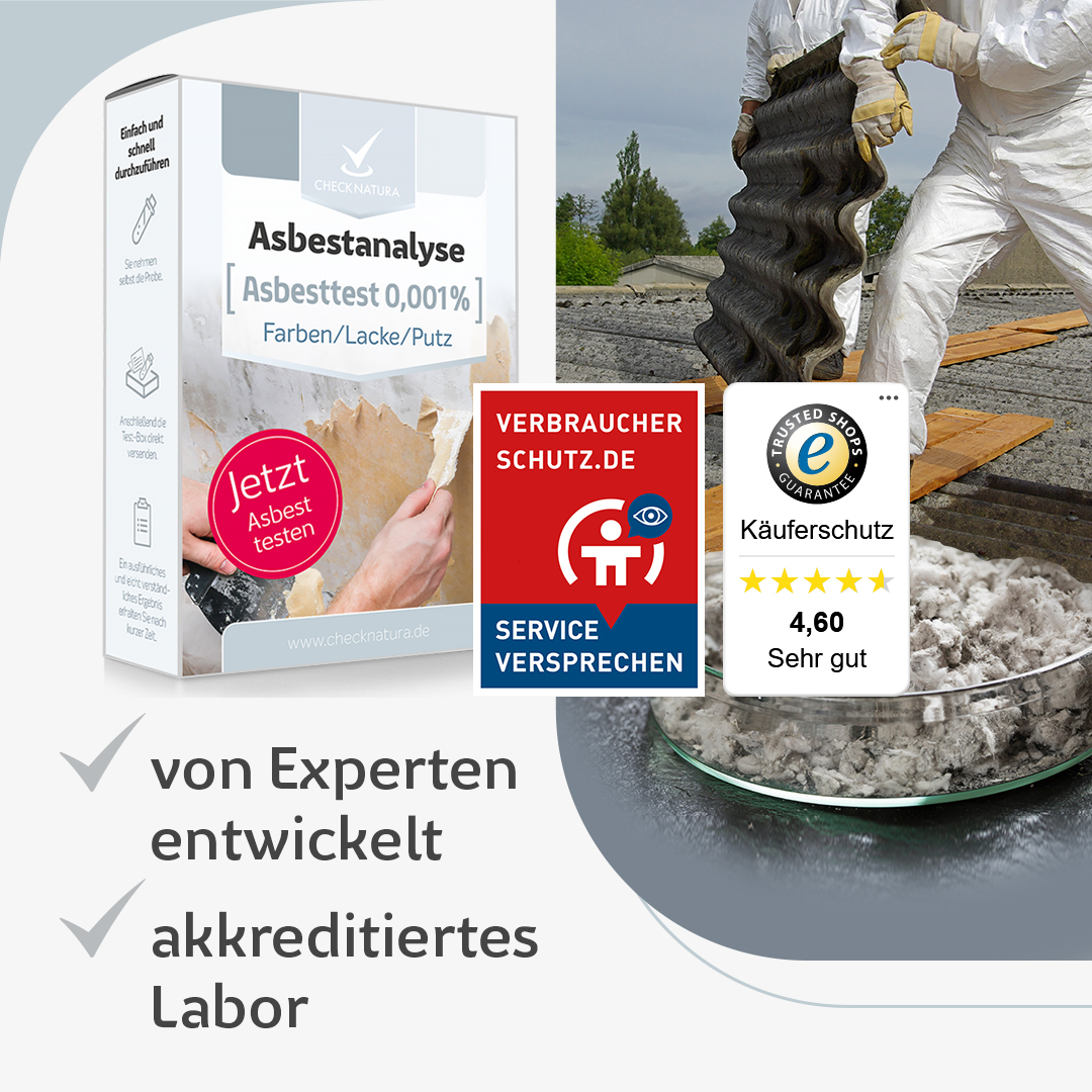 Asbesttest Farben, Lacke und Putz von Experten entwickelt