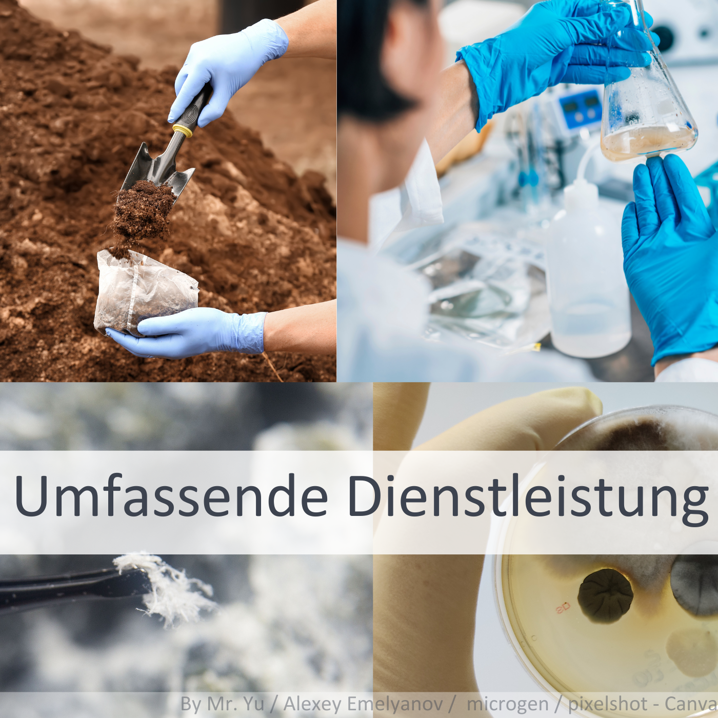 Umfassende Dienstleistung