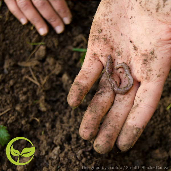Hand mit Erde hält einen Regenwurm, daneben eine weitere Hand auf dem Lehmboden.