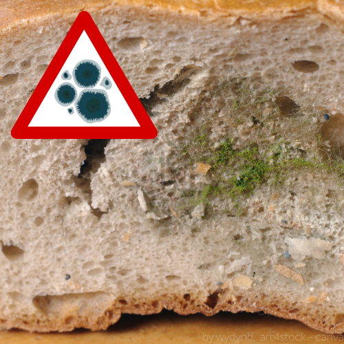 Eine verschimmelte Scheibe Brot