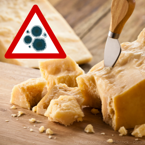 Schimmel auf Parmesan