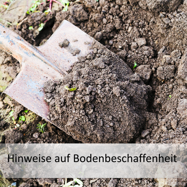 Nahaufnahme einer Schaufel mit feuchter, lockerer Erde und kleinen grünen Pflanzensprossen im Boden, mit dem Text 'Hinweise auf Bodenbeschaffenheit'