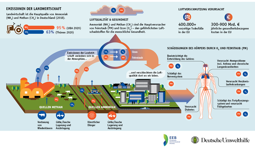 Emissionen der Landwirtschaft führen zu einer Schädigung des Körpers durch Feinstaub. Luftverschmutzung verursacht mehr als 400000 vorzeitige Todesfälle in der EU