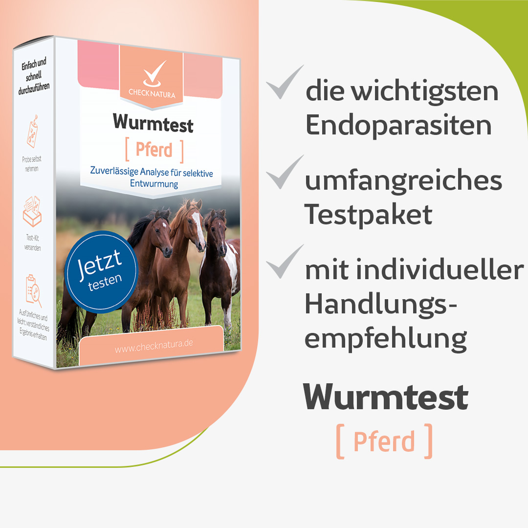 Die wichtigsten Endoparasiten, mit individueller Handlungsempfehlung