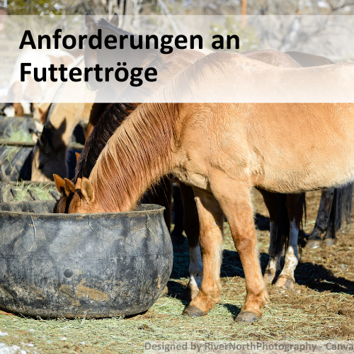 Anforderungen an Futtertröge