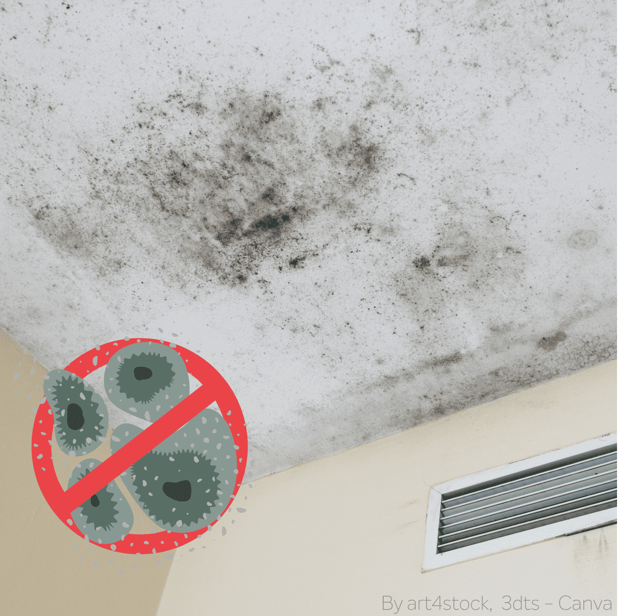 Schimmelflecken an einer Zimmerdecke