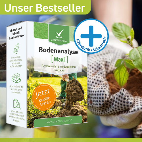 Unser Bestseller: Bodenanalyse Maxi