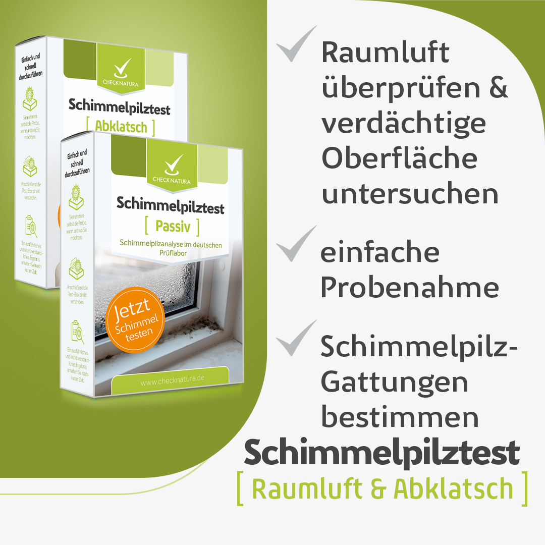 Schimmeltests Abklatsch und Raumluft im Vorteils-Set