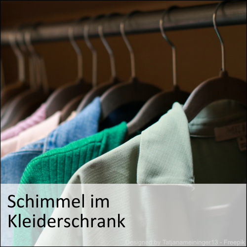 Schimmel im Kleiderschrank