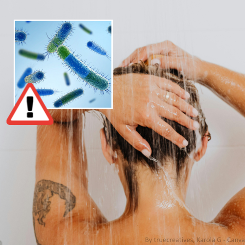 Frau von hinten unter der Dusche, die sich die Haare wäscht, mit eingeblendeter Illustration von Legionellen-Bakterien und einem Warnsymbol, das auf ein mögliches Gesundheitsrisiko im Duschwasser hinweist.
