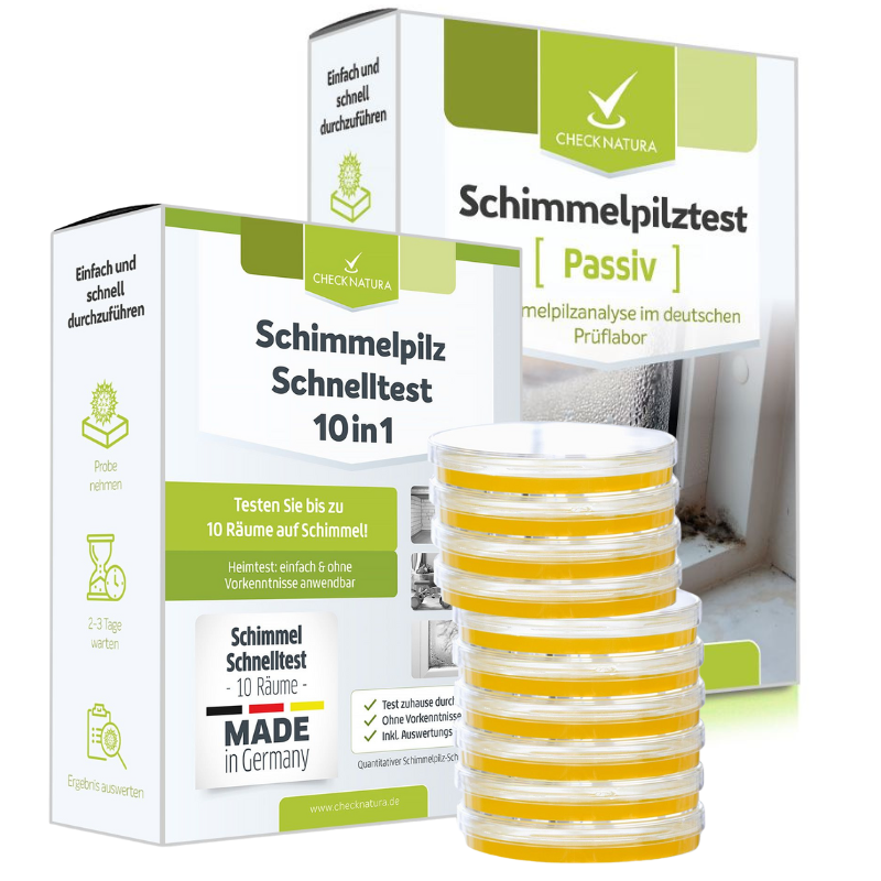 Kombi-Analyse: Schimmeltest Raumluft + Schnelltest