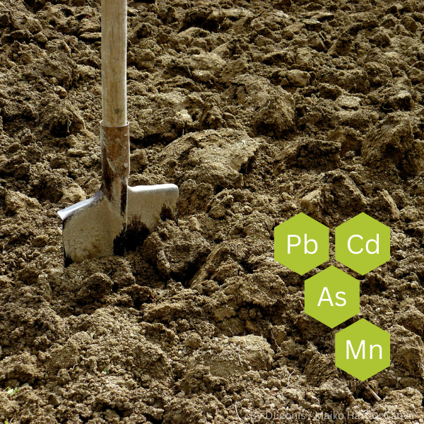 Spaten steckt in lockerem Boden, daneben Symbole für Schwermetalle Pb, Cd, As und Mn in grünen Sechsecken.