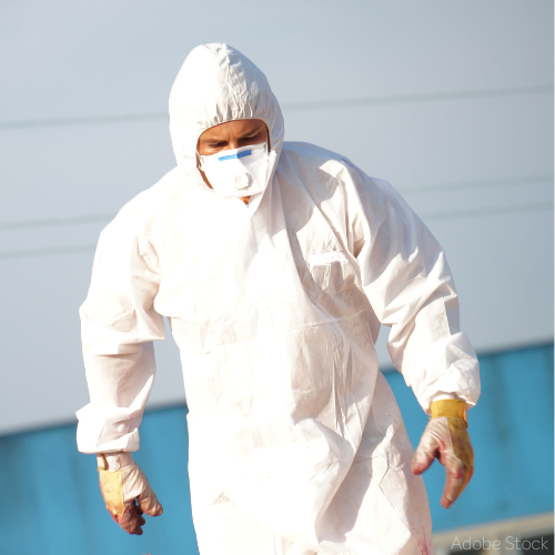Arbeiter mit FFP3-Maske Ein Arbeiter bei einer Asbestsanierung mit Schutzanzug und FFP3-Maske