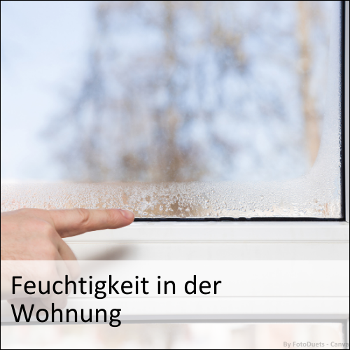 Feuchtigkeit in der Wohnung