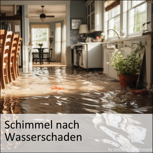 Schimmel nach Wasserschaden