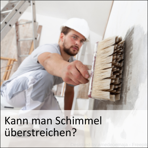 Kann man Schimmel überstreichen?