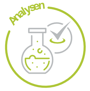 Icon Analysen