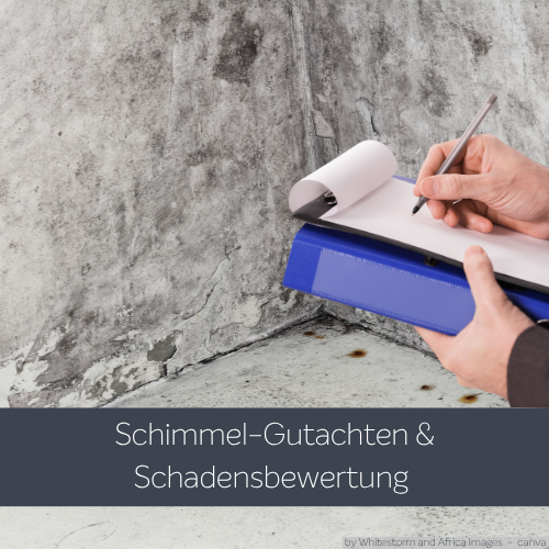 Schimmel-Gutachter nimmt mit Klemmbrett und Notizblock an einer von Schimmel befallenen Wand Proben und dokumentiert den Schaden für ein Schimmelgutachten und eine Schadensbewertung.
