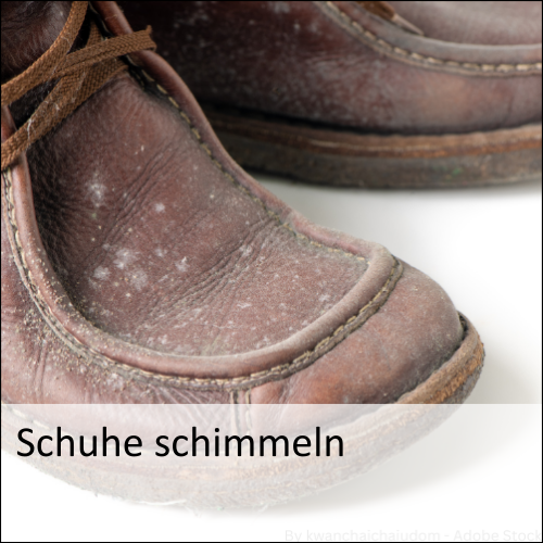 Schuhe schimmeln