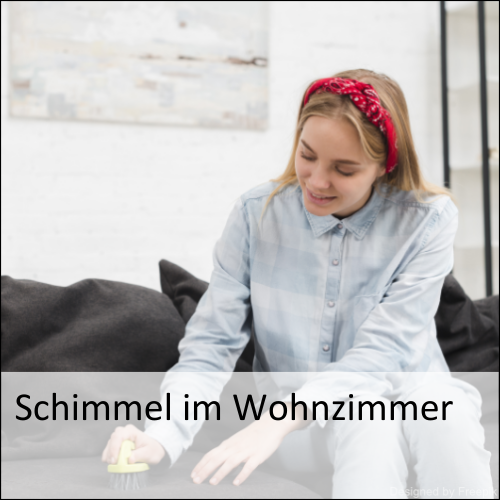 Schimmel im Wohnzimmer