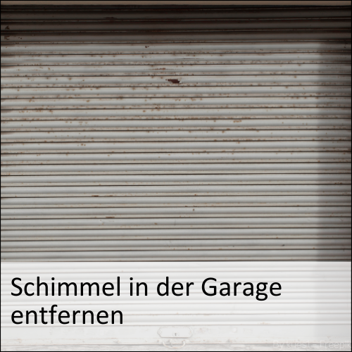 Schimmel in der Garage entfernen