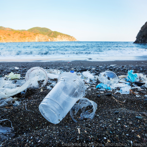 Ein Strand, der mit Plastik zugemüllt ist. Im Hintergrund das Meer.